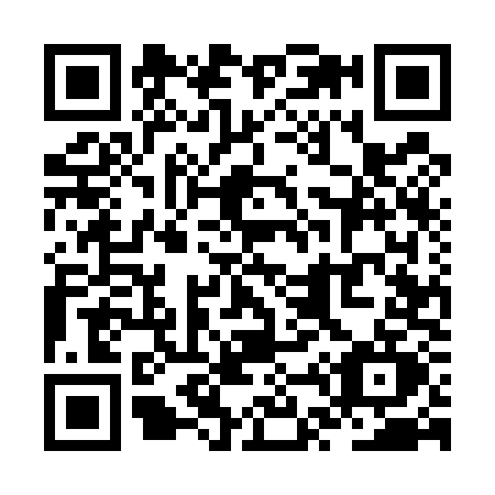 QR code for ZT55