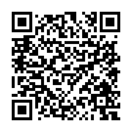 QR code for ZT816