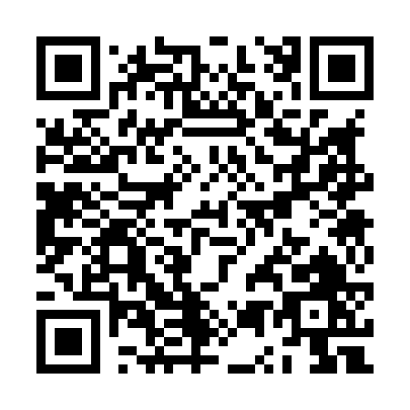 QR code for ZU386