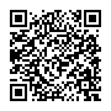 QR code for ZV029