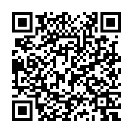 QR code for ZV11
