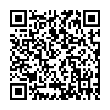 QR code for ZV213