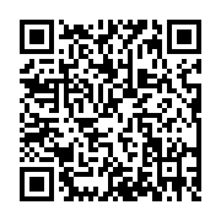 QR code for ZV351