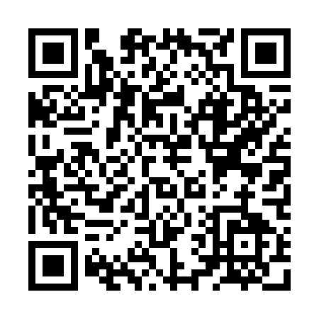 QR code for ZV475