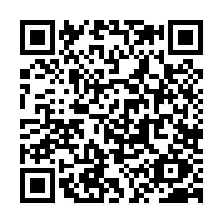 QR code for ZV80