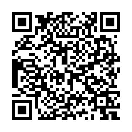 QR code for ZV96