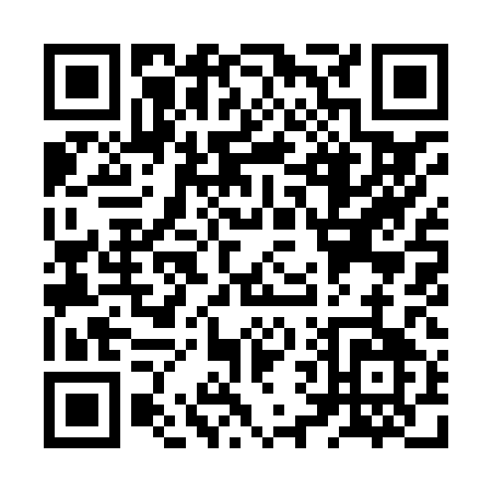 QR code for ZV981