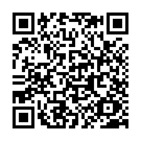 QR code for ZV99