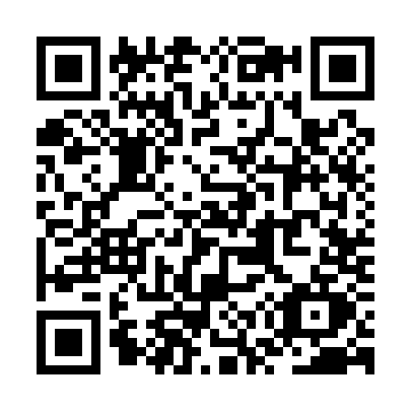 QR code for ZW31