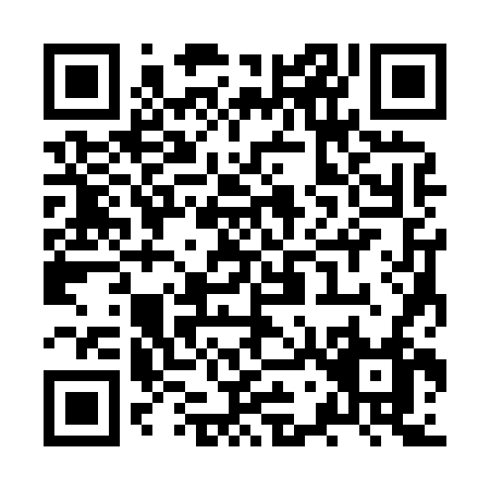 QR code for ZW386