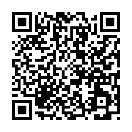 QR code for ZW929