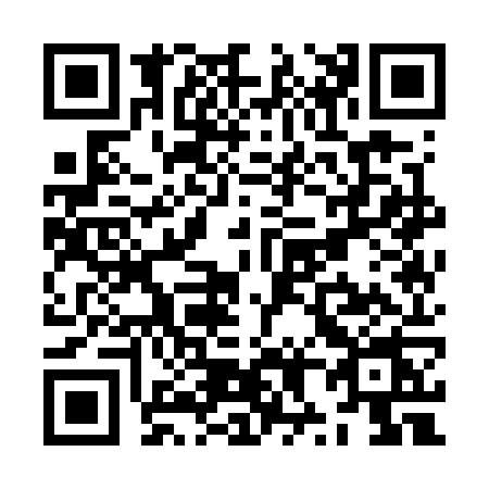QR code for ZX17