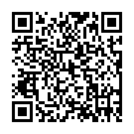 QR code for ZX311