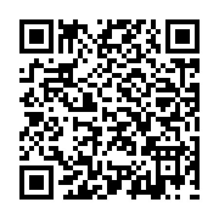 QR code for ZX499