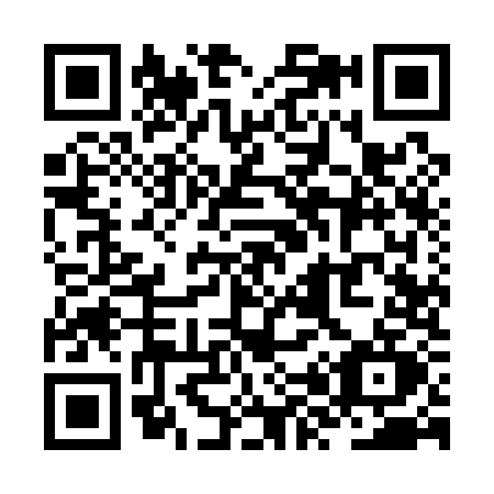 QR code for ZX91