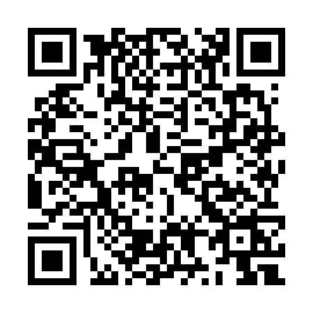 QR code for ZX96
