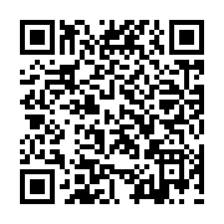 QR code for ZX998