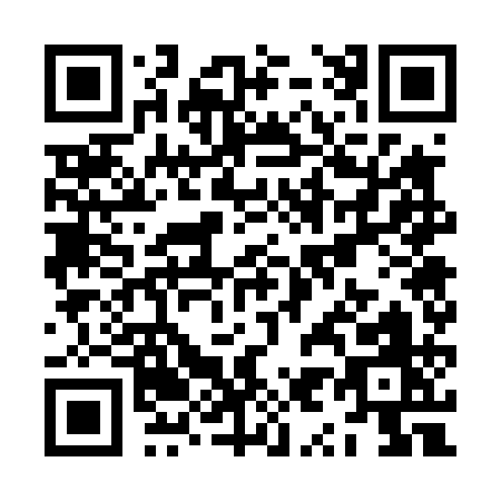 QR code for ZY741