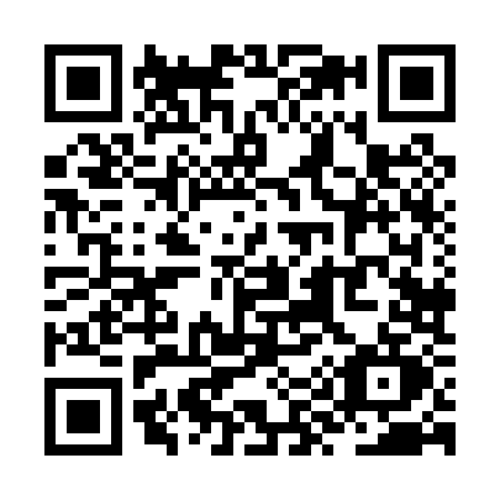 QR code for ZY80