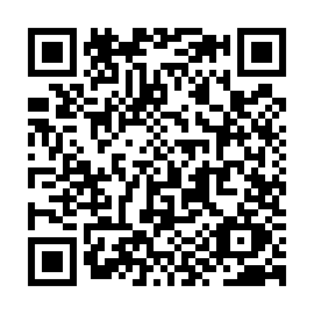 QR code for ZY95