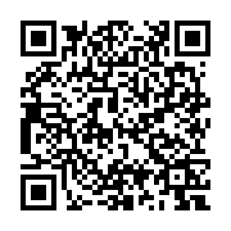 QR code for ZY96