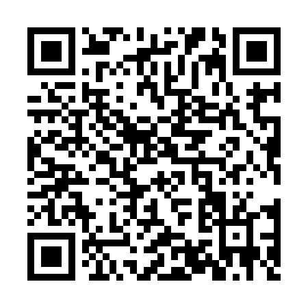 QR code for ZY994