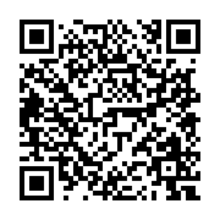 QR code for ZZ011