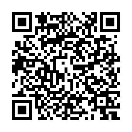 QR code for ZZ07