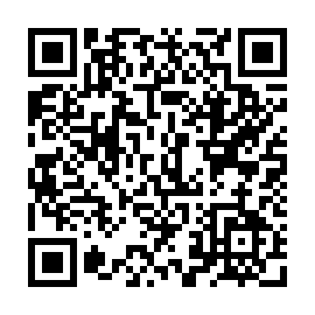QR code for ZZ371
