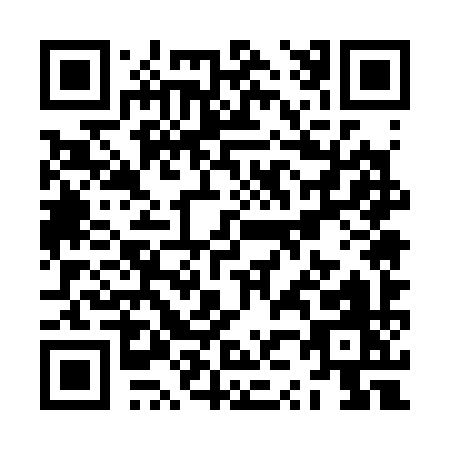 QR code for ZZ539