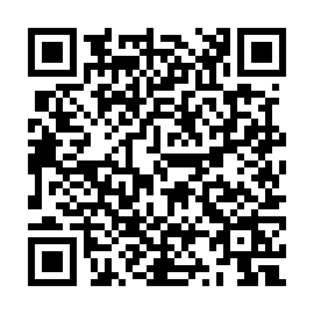 QR code for ZZ55