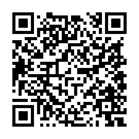 QR code for ZZ685