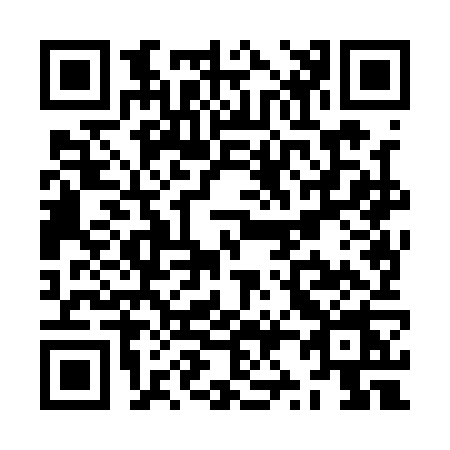 QR code for ZZ81