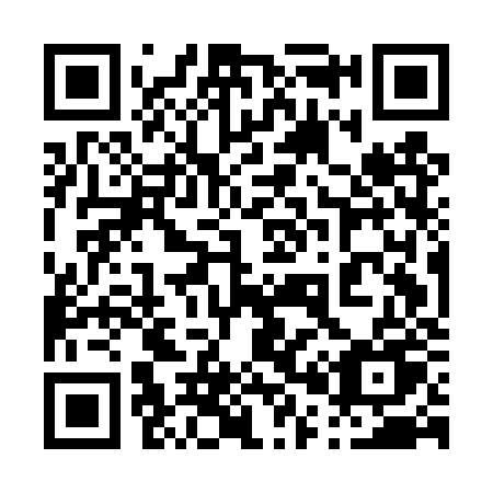 QR code for plate 005 DZU