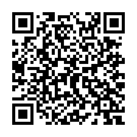 QR code for 006 DDG