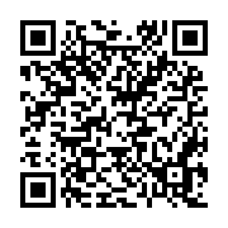 QR code for 006ION