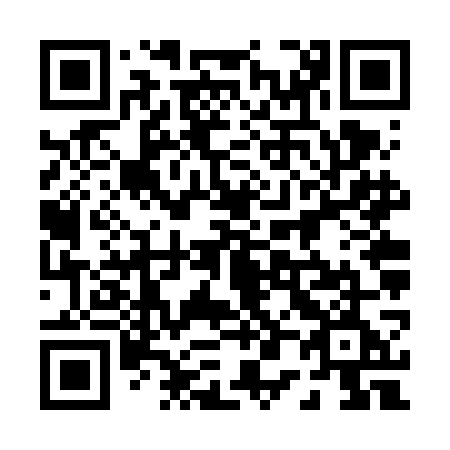 QR code for plate 006 VGE