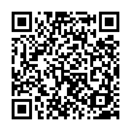 QR code for plate 007 UFK