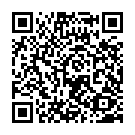 QR code for 008 IJZ
