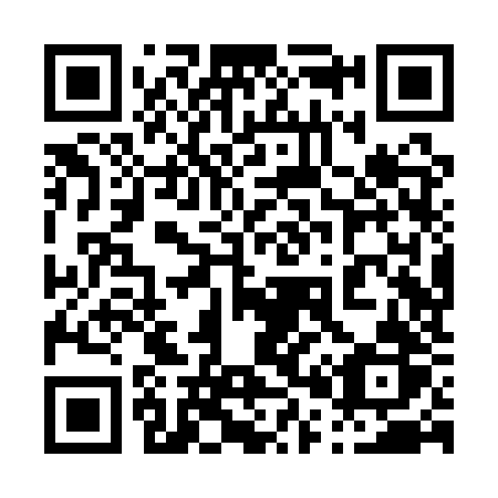 QR code for 008 QZR