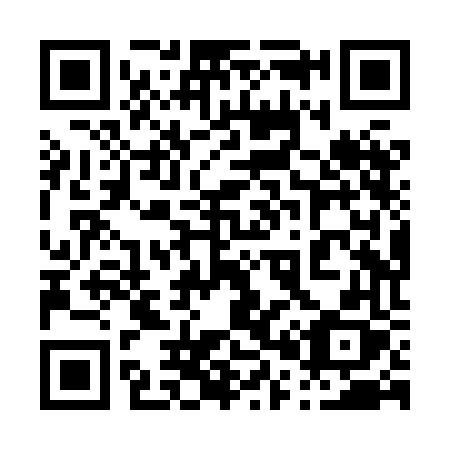 QR code for 008 XFX