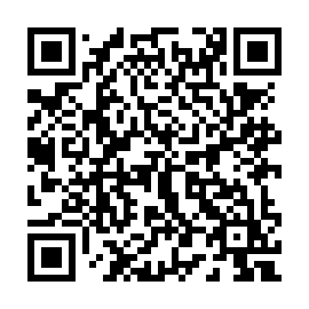QR code for 009 NIZ