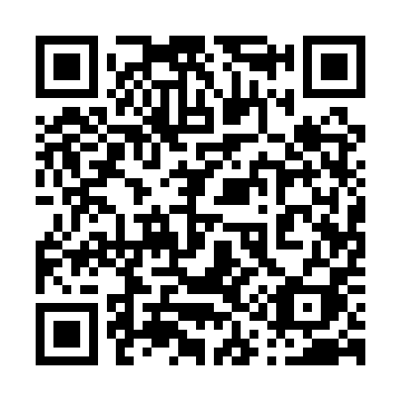 QR code for 0111PI