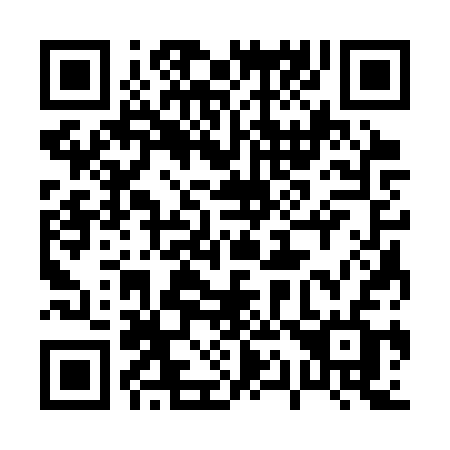 QR code for 013 3SF