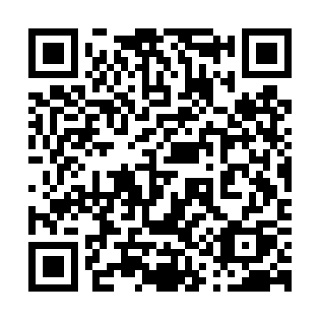 QR code for 013 DSQ