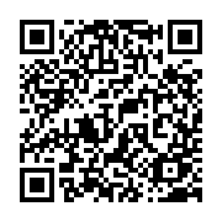 QR code for plate 013 9DU