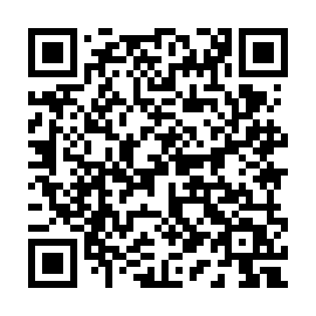 QR code for 0196MT