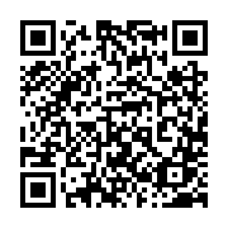 QR code for 0243TS