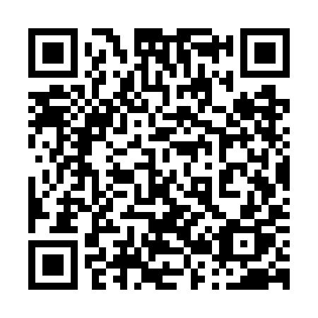 QR code for 027 WIP