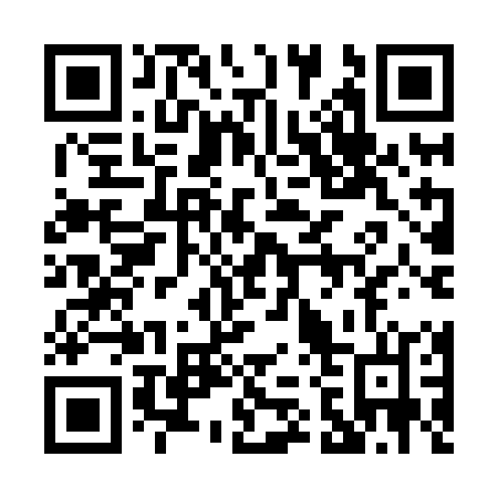 QR code for 029 HOL